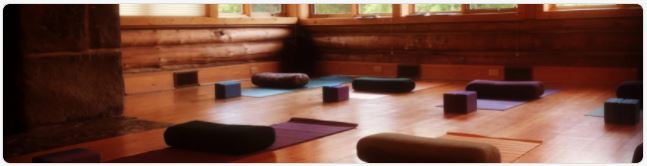 Yoga in America – study by Yoga Journal